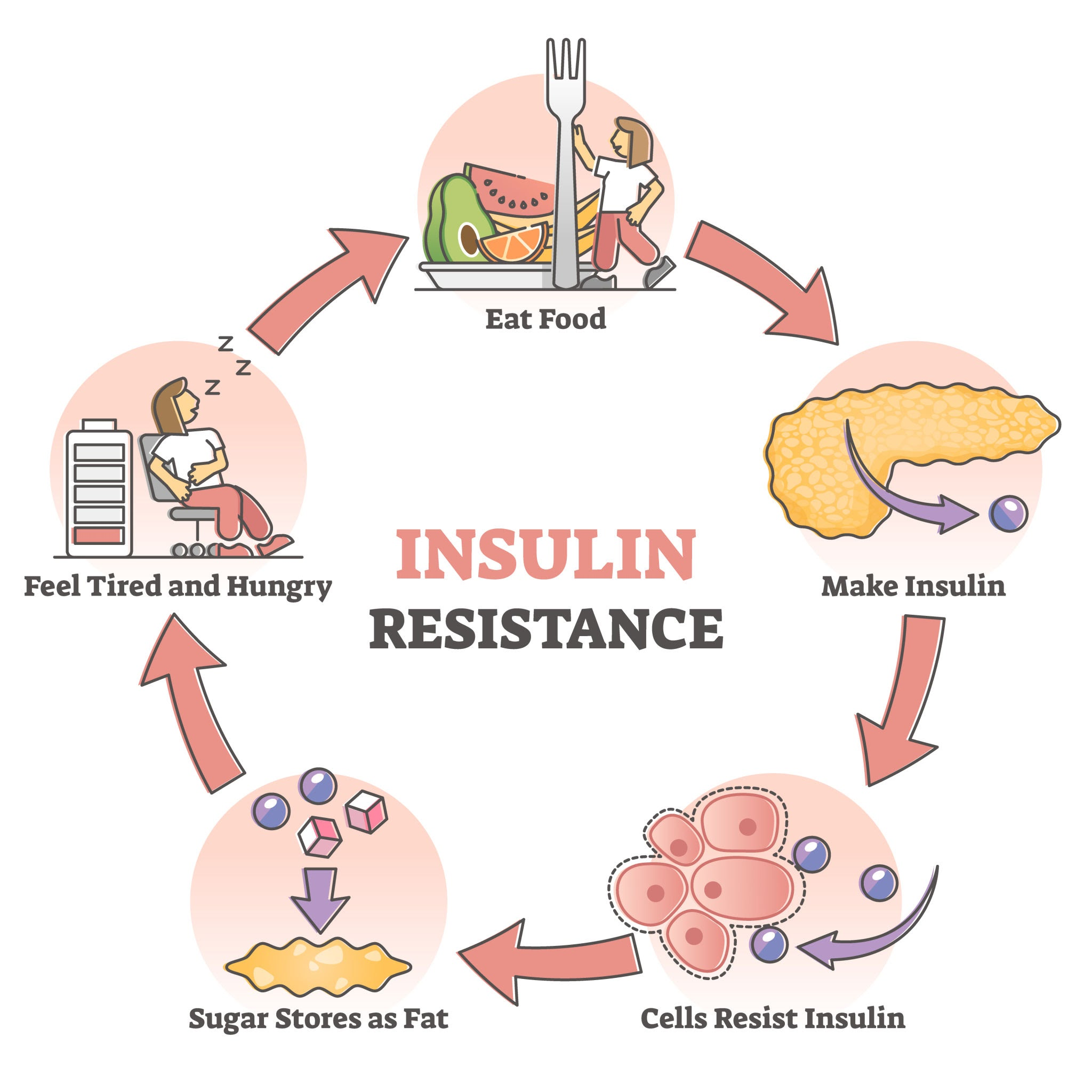 A circular diagram of the insulin-resistance loop: eat food, the pancreas makes insulin, cells resist insulin, sugar is stored as fat, you feel tired and hungry, and the cycle repeats.